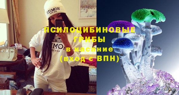 spice Бутурлиновка