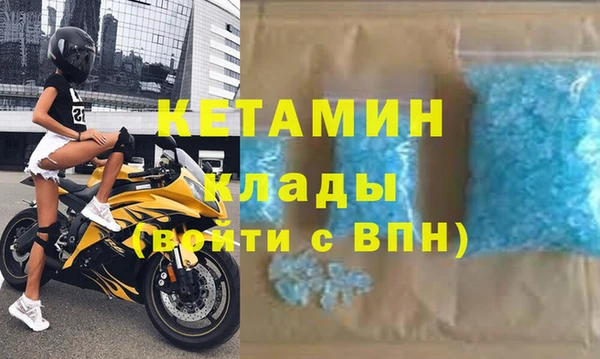сатива Новодвинск