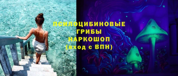ГАЛЛЮЦИНОГЕННЫЕ ГРИБЫ Няндома