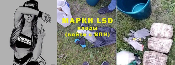 ГАЛЛЮЦИНОГЕННЫЕ ГРИБЫ Няндома