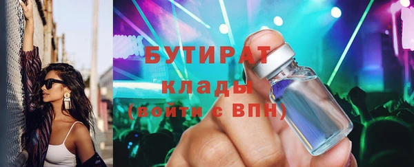 сатива Новодвинск