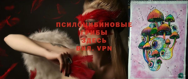 ГАЛЛЮЦИНОГЕННЫЕ ГРИБЫ Няндома