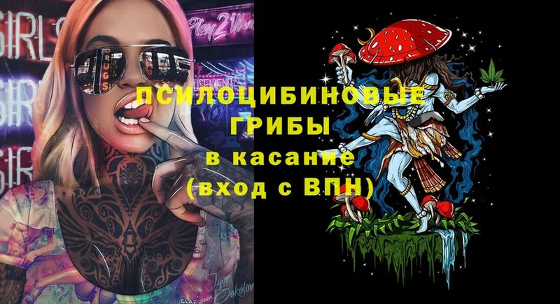 Псилоцибиновые грибы Cubensis  omg как войти  Лакинск 